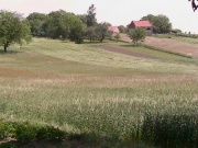 thm022_Pict0219.jpg
