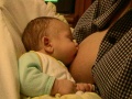 thm000_Pict0004.jpg
