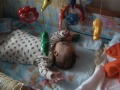 thm012_Pict0043.jpg