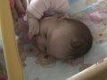thm017_Pict0050.jpg